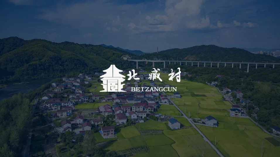 北臧村镇流动人口与出租房屋管理数字平台案例配图